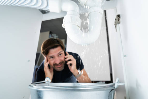 Best Leak Detection Services  in Meadow Oaks, FL